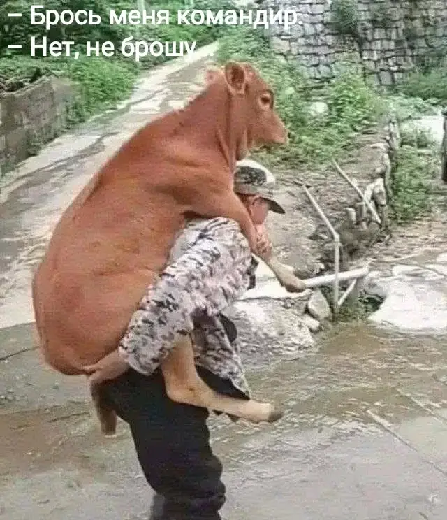 – Брось меня командир. – Нет, не брошу...