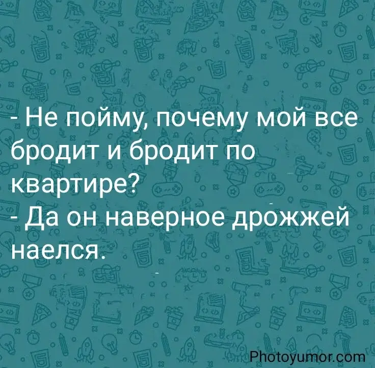 - Не пойму, почему мой все бродит и бродит по квартире?