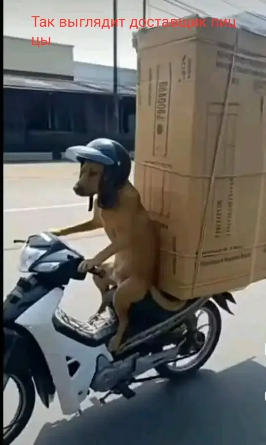 Так выглядит доставщик пиццы