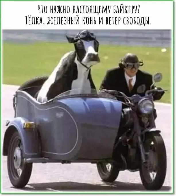 Что нужно настоящему байкеру? Тёлка, железный конь и ветер свободы.