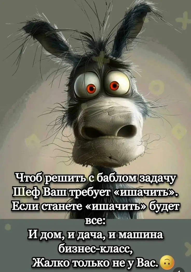 Чтоб решить с баблом задачу Шеф Ваш требует «ишачить».