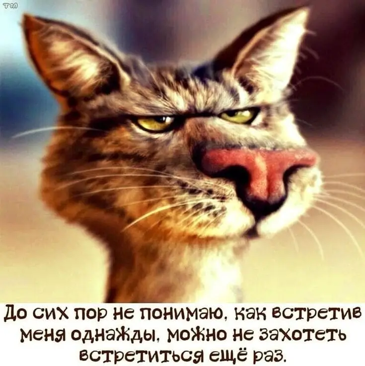 До сих пор не понимаю, как встретив меня однажды