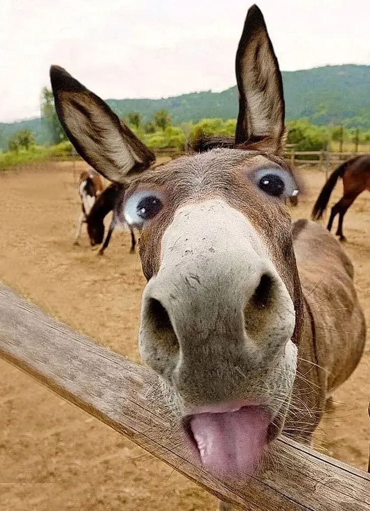 Доктор скажите: у меня типуна на языке нет?