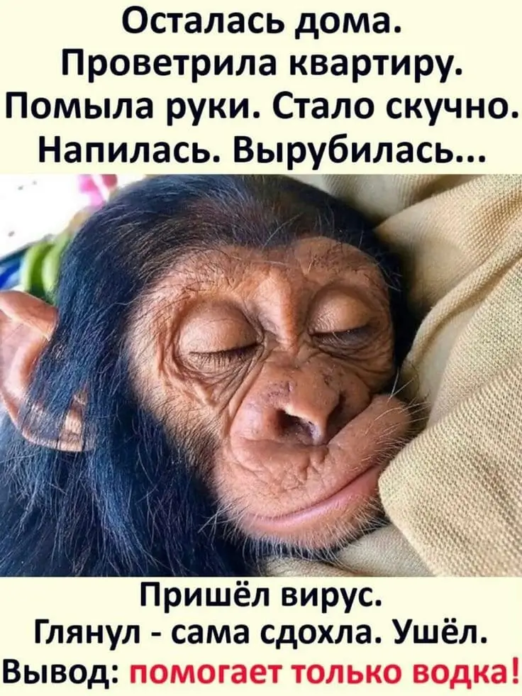 Иногда дома помогает только водка!