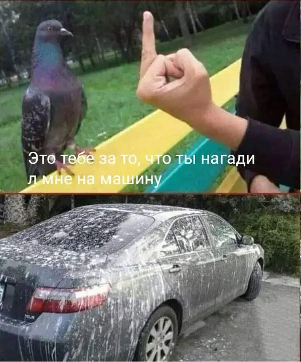Это тебе за то, что ты нагадил мне на машину