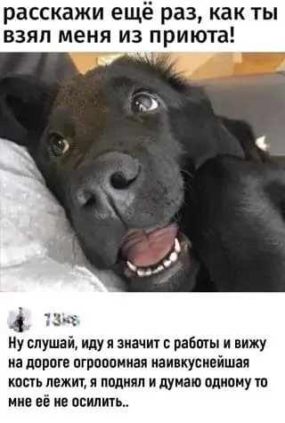 Расскажи ещё раз, как ты взял меня из приюта!