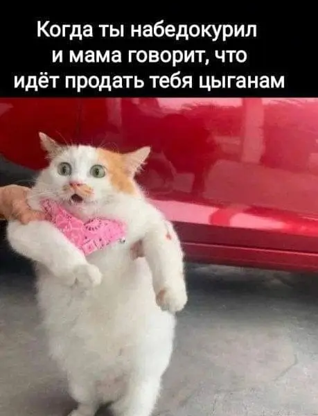Когда ты набедокурил и мама говорит, что идёт продавать тебя цыганам