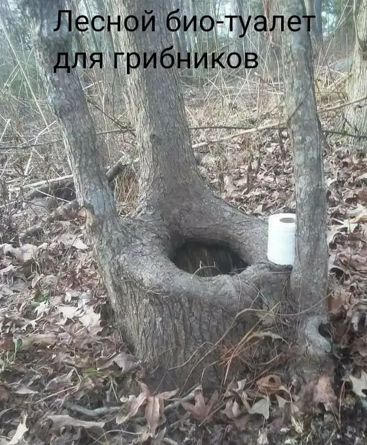 Лесной био-туалет для грибников