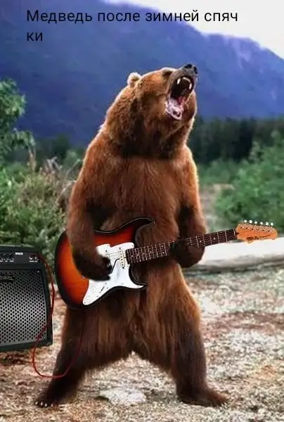 Медведь после зимней спячки