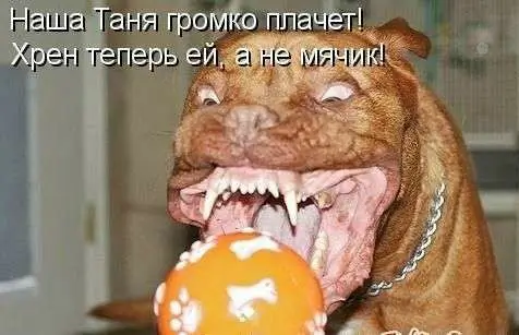 Наша Таня громко плачет! Хрен теперь ей, а не мячик!