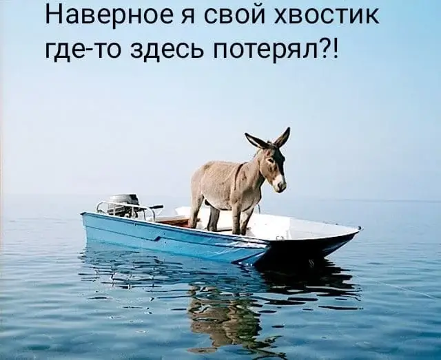 Наверное я свой хвостик где-то здесь потерял?!