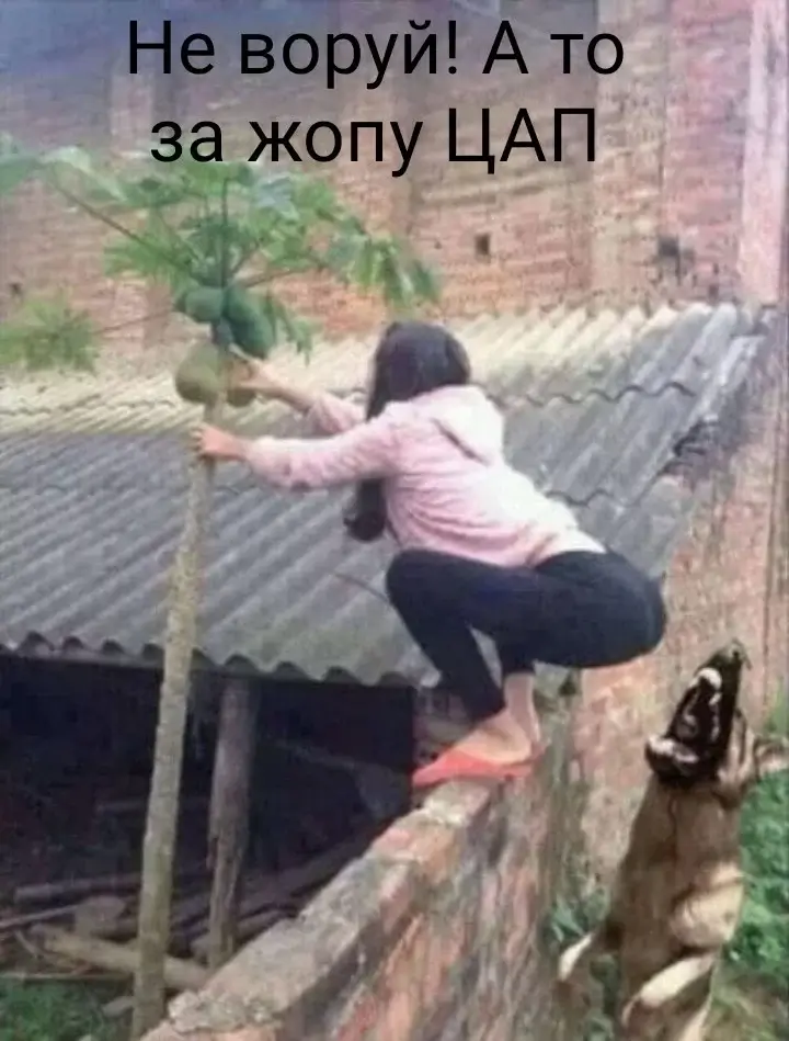 Не воруй! А то за жопу ЦАП