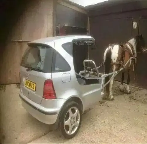 Нет бензина - запрегли лошадку к автомобилю