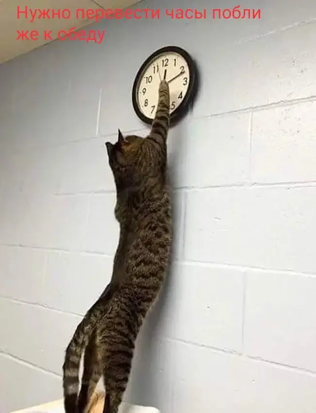 Нужно перевести часы поближе к обеду