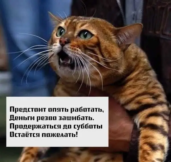 Предстоит опять работать,  Деньги резво зашибать.