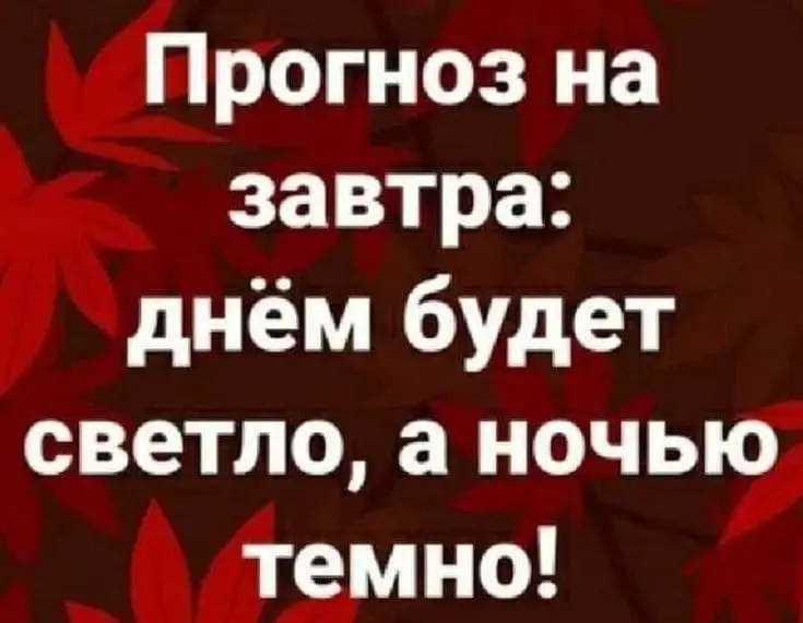 Прогноз на завтра: днём будет светло, а ночью темно!