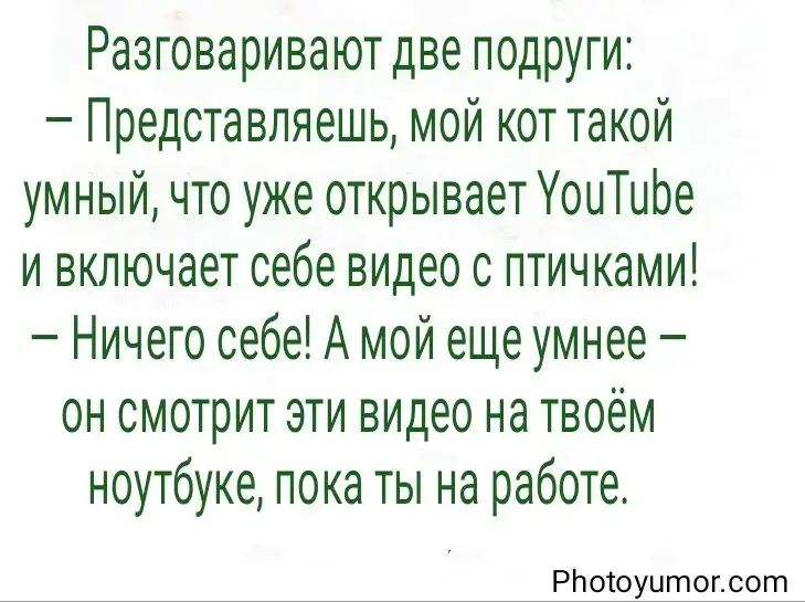 Разговаривают две подруги: — Представляешь, мой кот такой умный