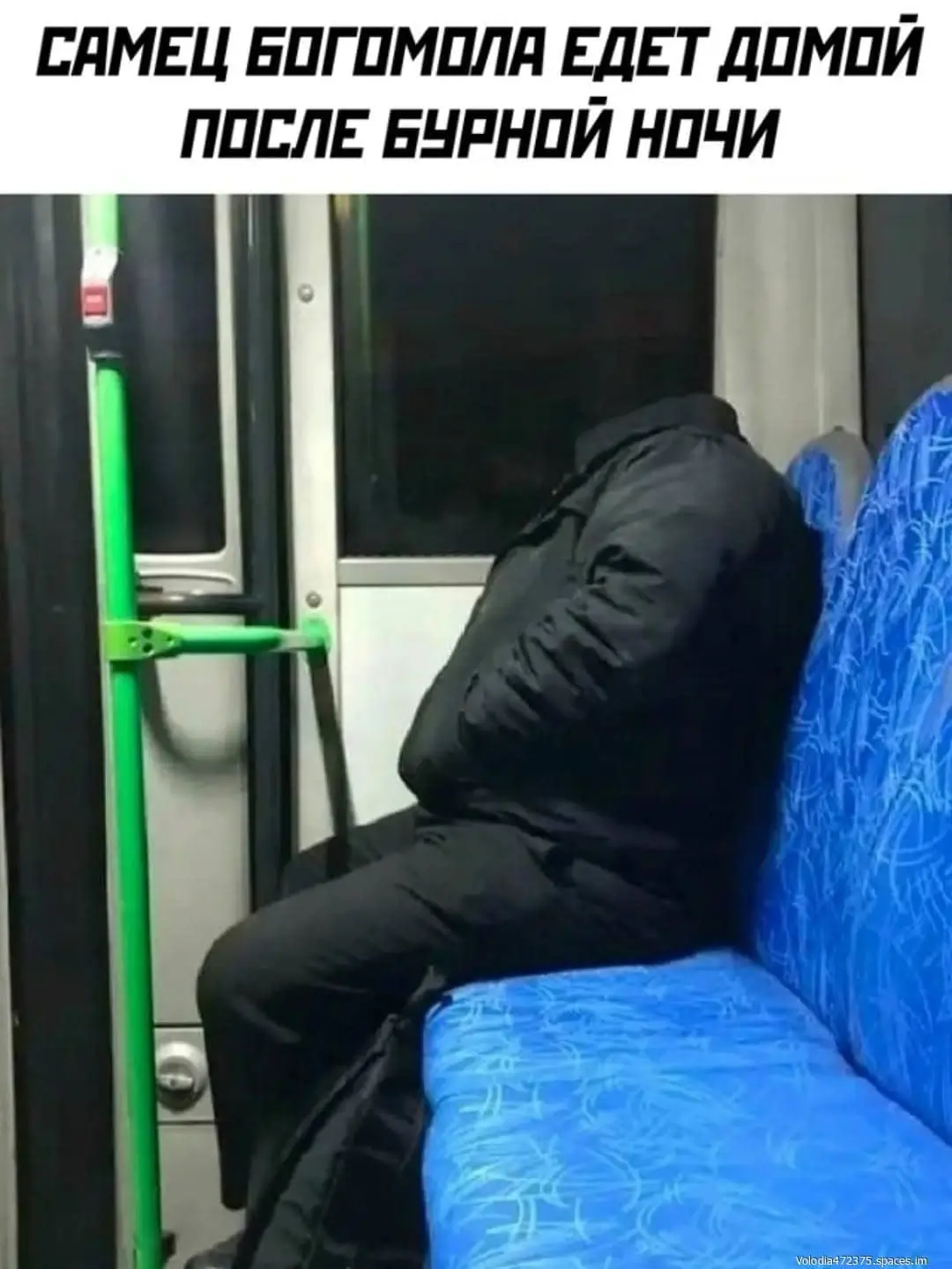 Самец богомола едет домой после бурной ночи