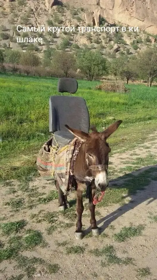 Самый крутой транспорт в кишлаке