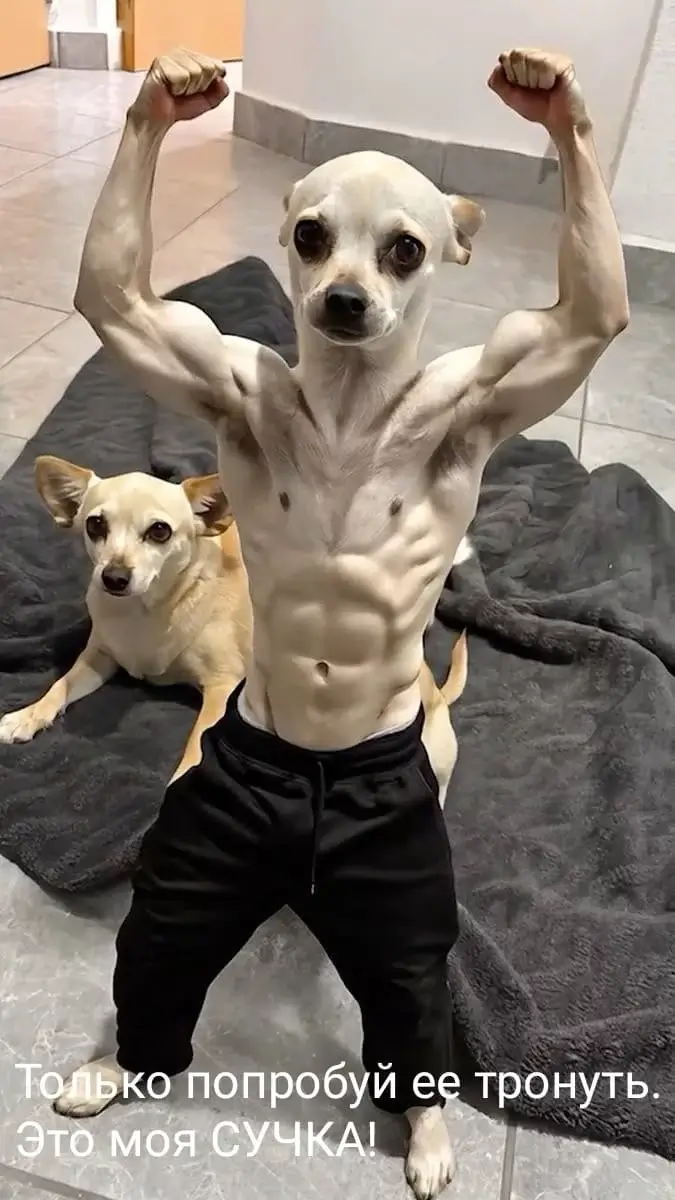 Только попробуй ее тронуть. Это моя СУЧКА!