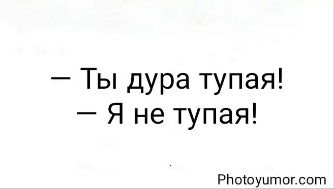 — Ты дура тупая! — Я не тупая!