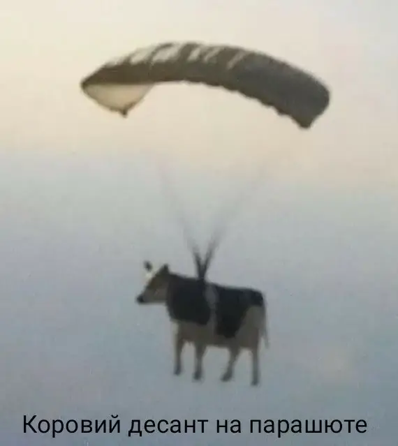 Коровий десант на парашюте