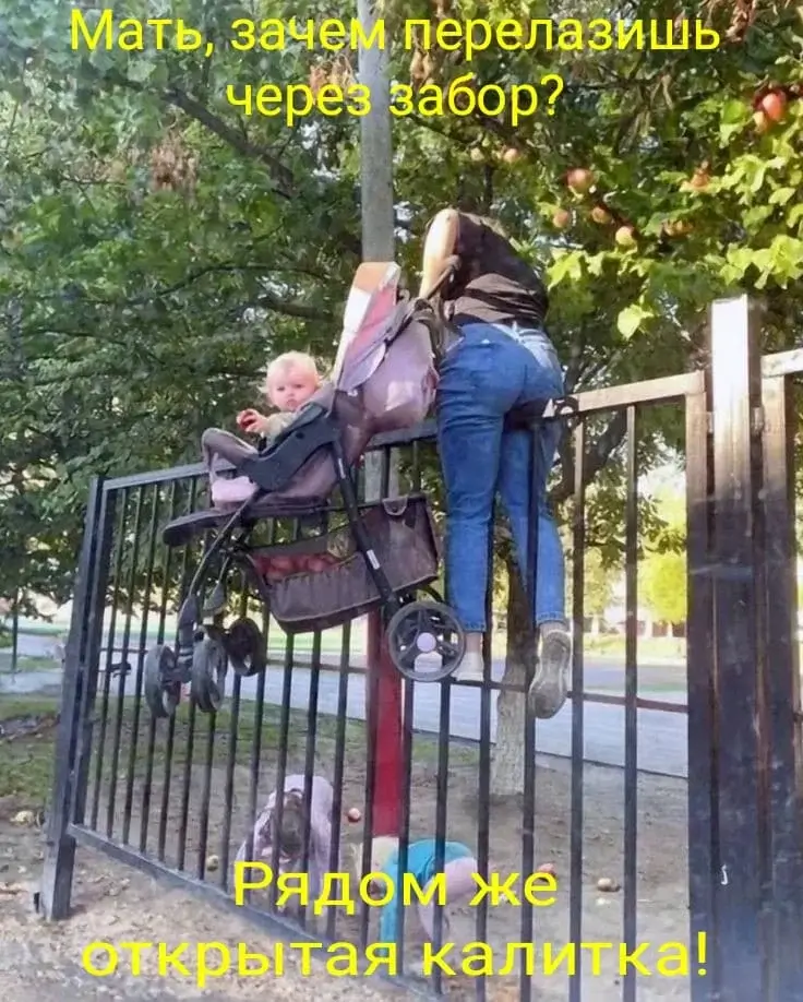 Мать, зачем перелазишь через забор? Рядом же открытая калитка!