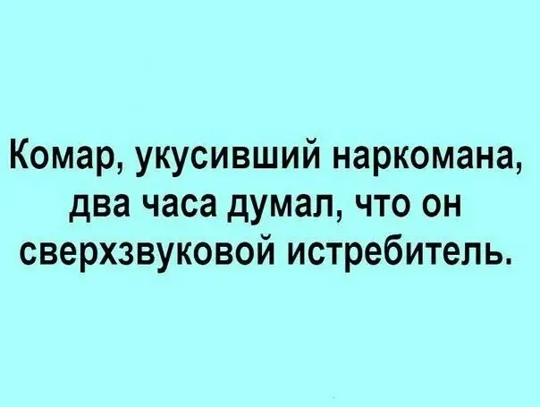 Комар, укусивший наркомана, два часа думал, что он