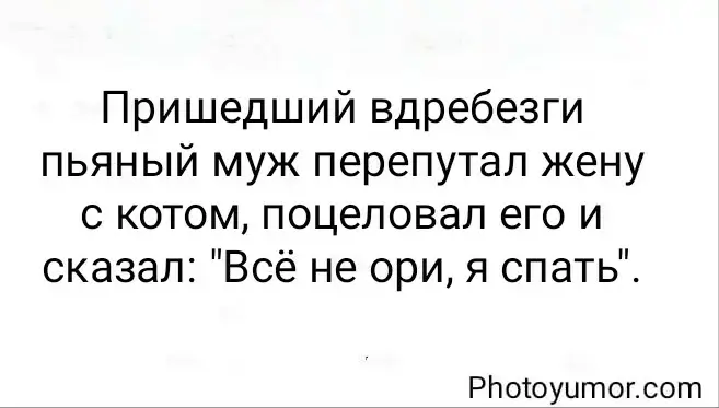 Пришедший вдребезги пьяный муж перепутал жену с котом, поцеловал