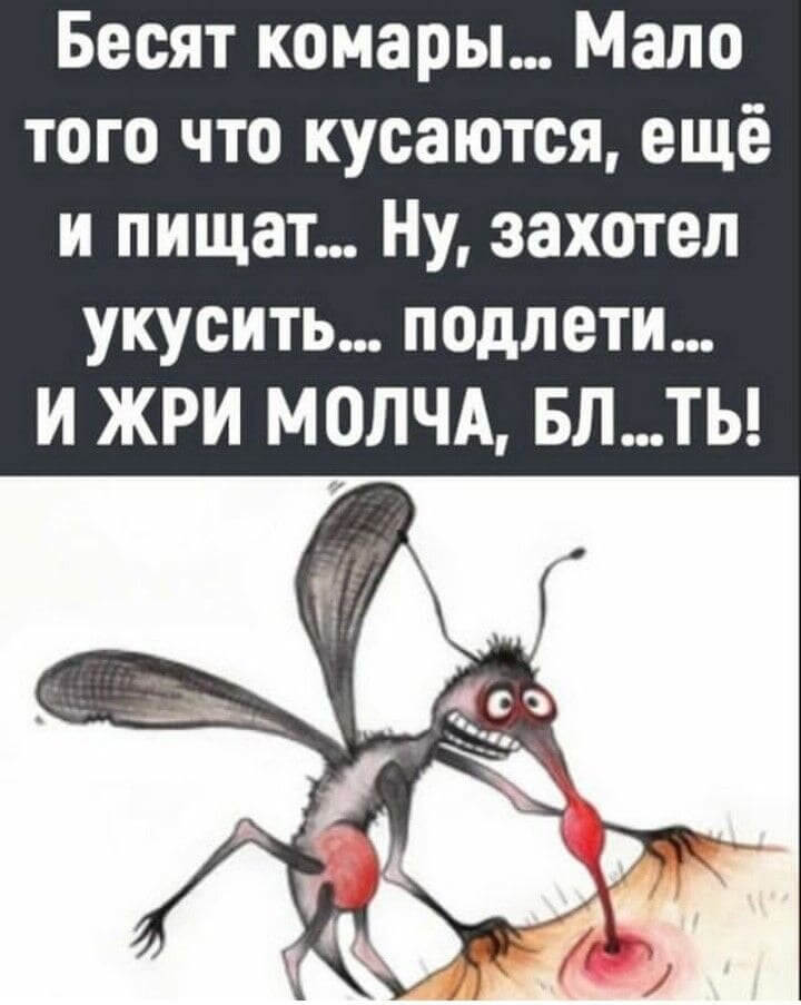 Бесят комары... Мало того что кусаются, ещё и пищат...