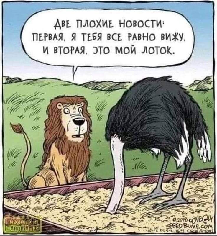 ДВЕ ПЛОХИЕ НОВОСТИ: ПЕРВАЯ, Я ТЕБЯ ВСЕ РАВНО ВИЖУ, И ВТОРАЯ, ЭТО МОЙ ЛОТОК.