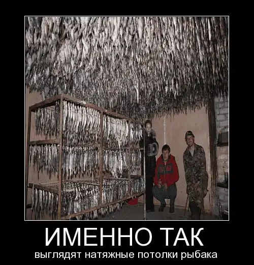 Именно так выглядят натяжные потолки рыбака