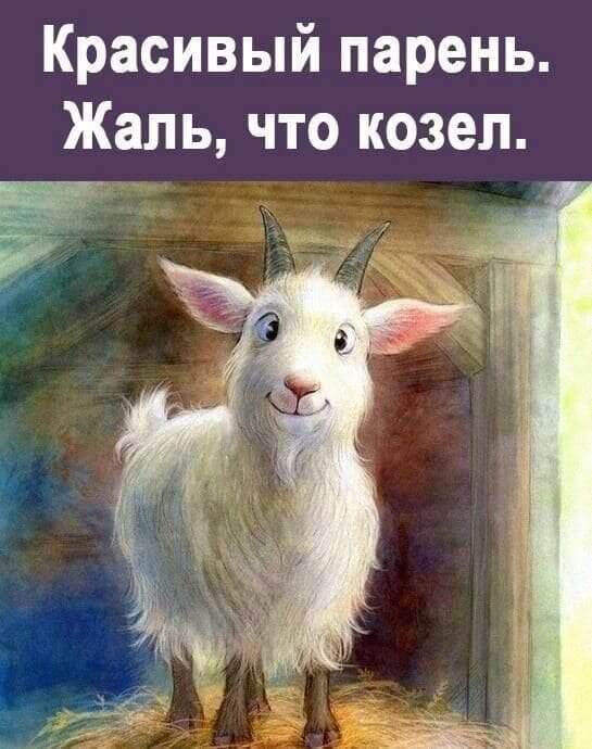 Красивый парень. Жаль что козел.