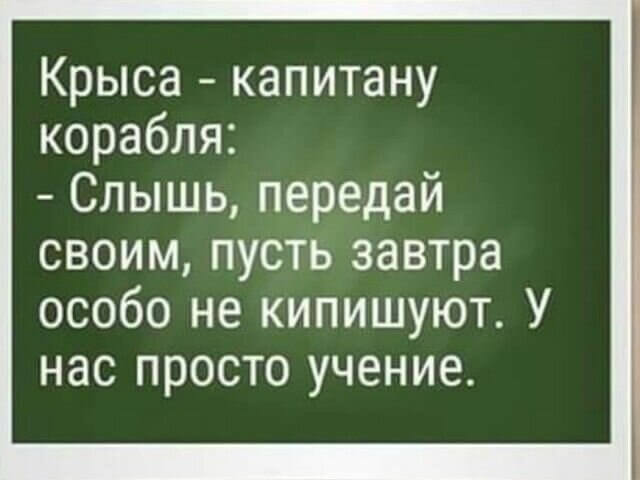 Крыса - капитану корабля: - Слышь, передай своим
