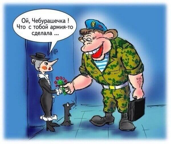 Ой, Чебурашечка! Что с тобой армия то сделала...
