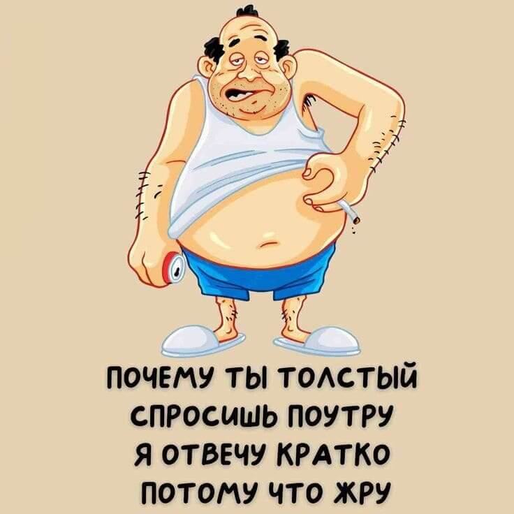 Почему ты толстый спросишь поутру Я отвечу кратко потому что жру