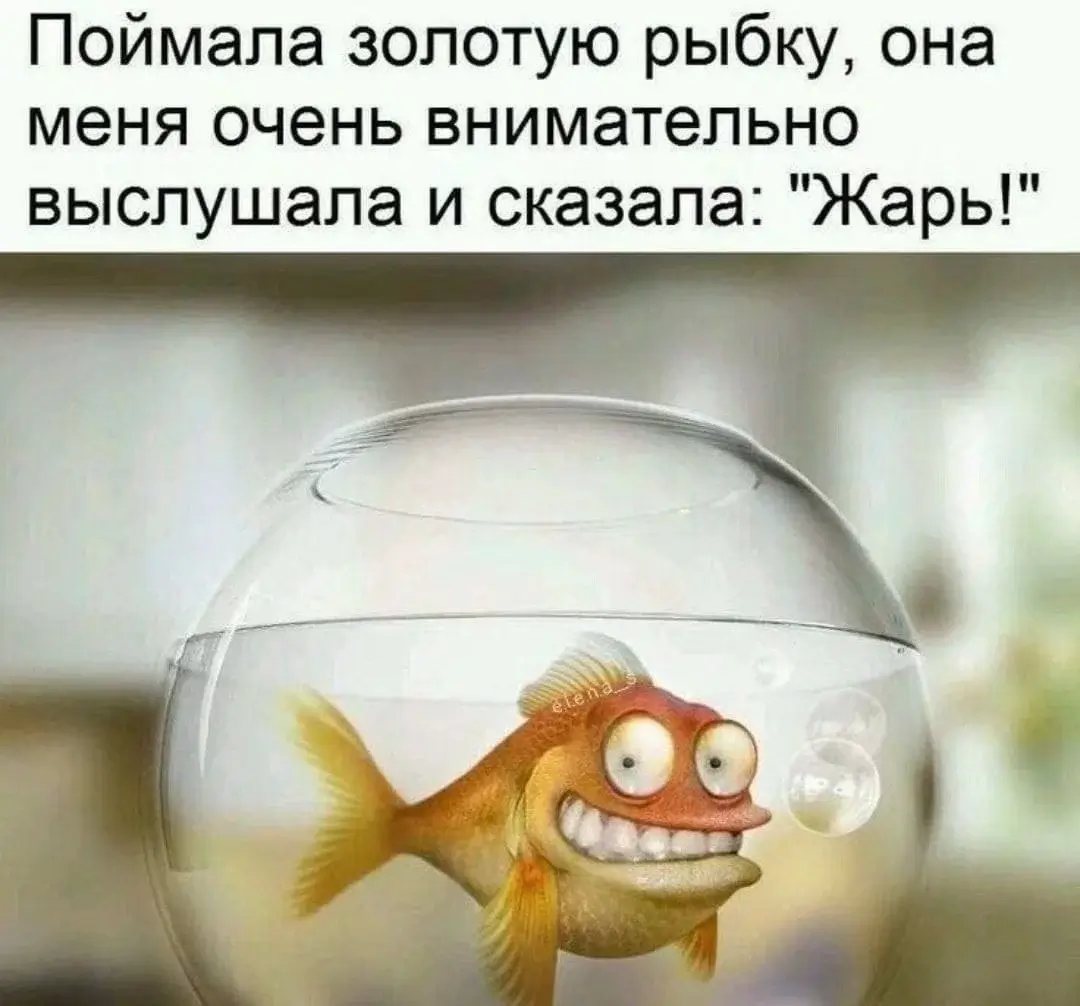 Поймала золотую рыбку, она меня очень внимательно выслушала