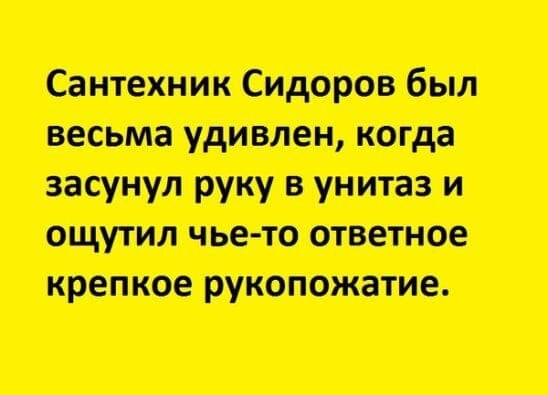 Сантехник Сидоров был весьма удивлен, когда засунул руку в унитаз