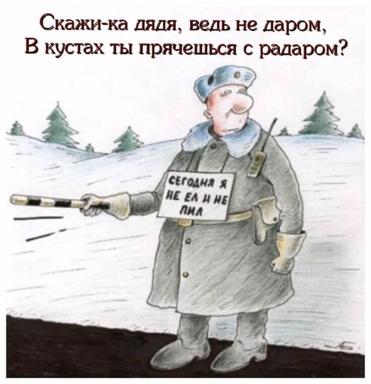 Скажи-ка дядя, ведь не даром, В кустах ты прячешься с радаром?