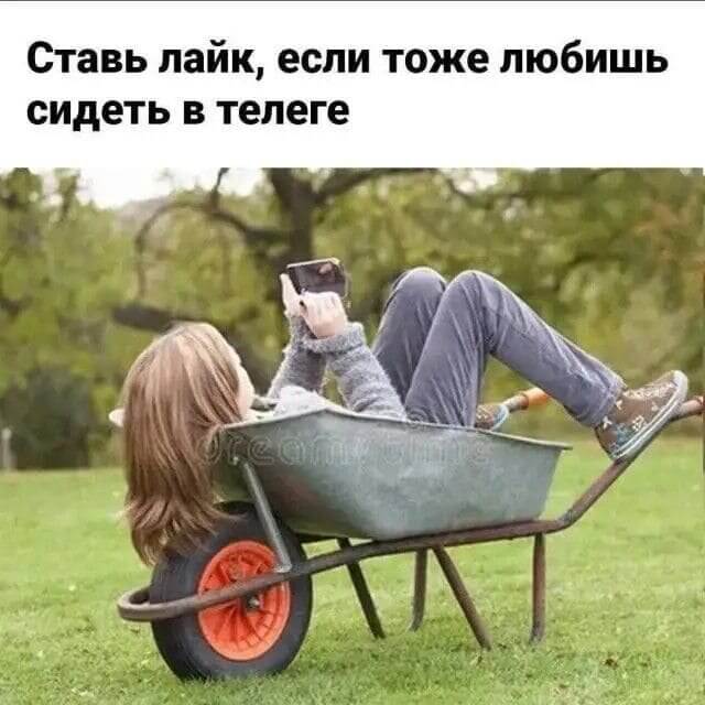 Ставь лайк, если тоже любишь сидеть в телеге