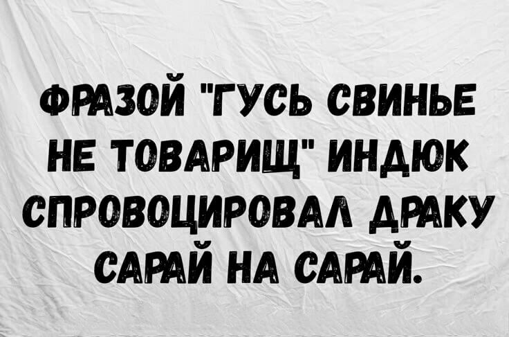Фразой "гусь свинье не товарищ" индюк спровоцировал драку сарай на сарай.